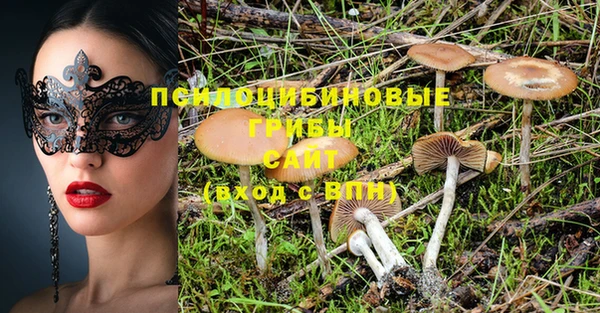 мескалин Нефтегорск