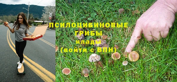 соль курить ск Алексеевка