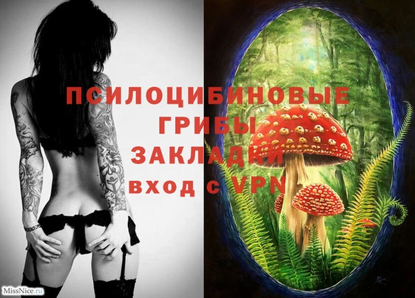 spice Алзамай