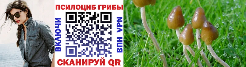 Галлюциногенные грибы MAGIC MUSHROOMS  Салават 